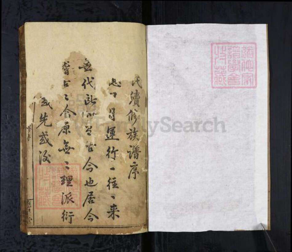 湖北省黄冈市陈氏族谱-陈氏宗谱[8卷首2卷].pdf电子版预览图1