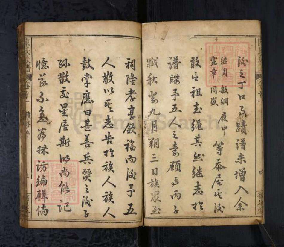 湖北省黄冈市陈氏族谱-陈氏宗谱[8卷首2卷].pdf电子版预览图5