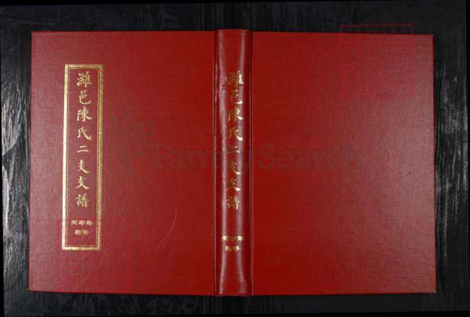 山东省潍坊市陈氏族谱-潍邑陈氏二支支谱.pdf电子版缩略图
