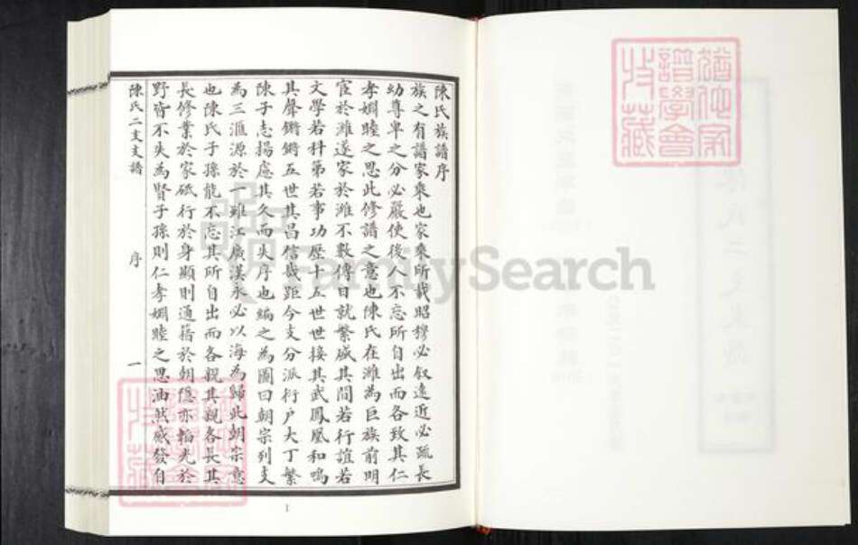 山东省潍坊市陈氏族谱-潍邑陈氏二支支谱.pdf电子版预览图2