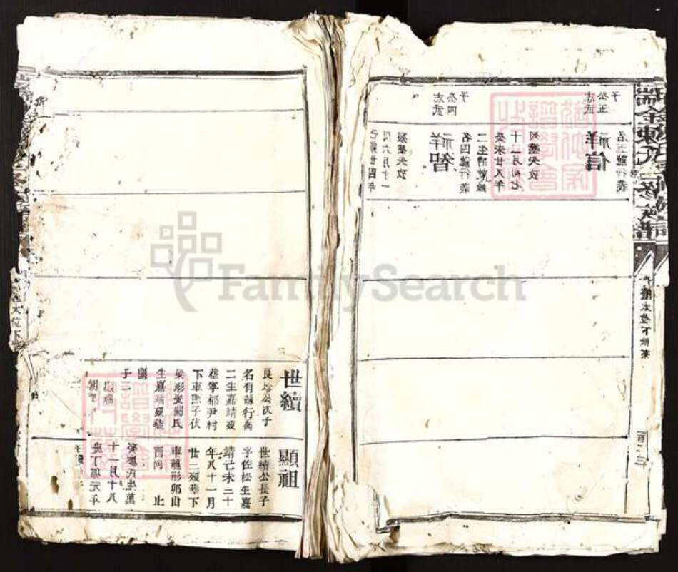 江西省赣州市瑞金市陈氏族谱-瑞金陈氏三修族谱.pdf电子版缩略图