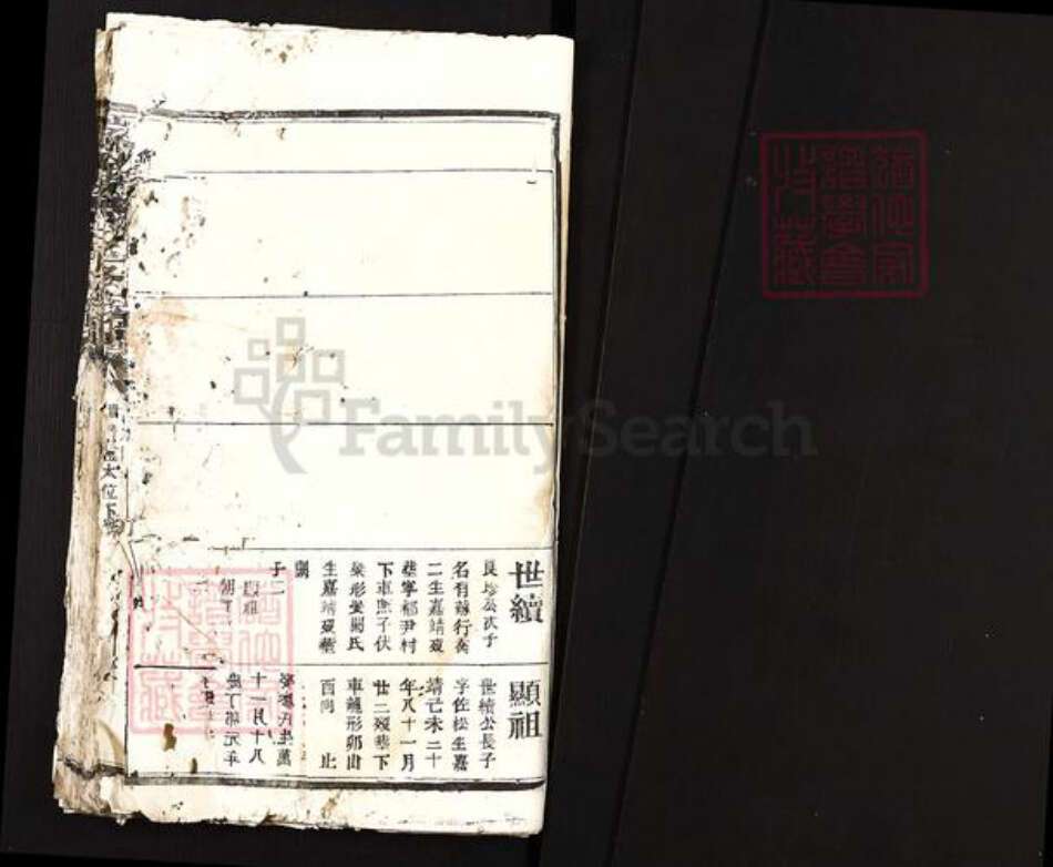 江西省赣州市瑞金市陈氏族谱-瑞金陈氏三修族谱.pdf电子版预览图1