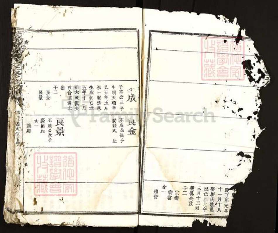 江西省赣州市瑞金市陈氏族谱-瑞金陈氏三修族谱.pdf电子版预览图2