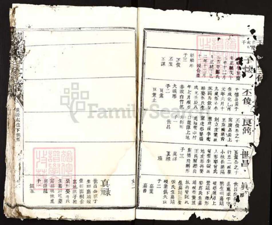 江西省赣州市瑞金市陈氏族谱-瑞金陈氏三修族谱.pdf电子版预览图3