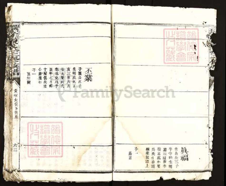 江西省赣州市瑞金市陈氏族谱-瑞金陈氏三修族谱.pdf电子版预览图4