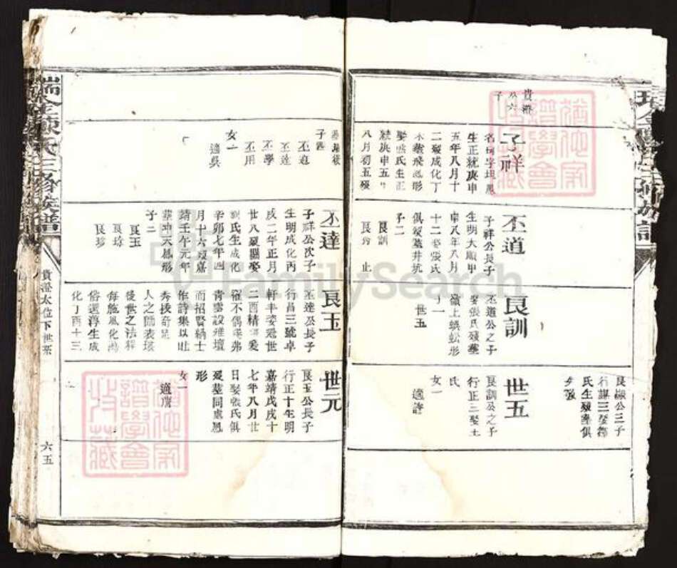 江西省赣州市瑞金市陈氏族谱-瑞金陈氏三修族谱.pdf电子版预览图5