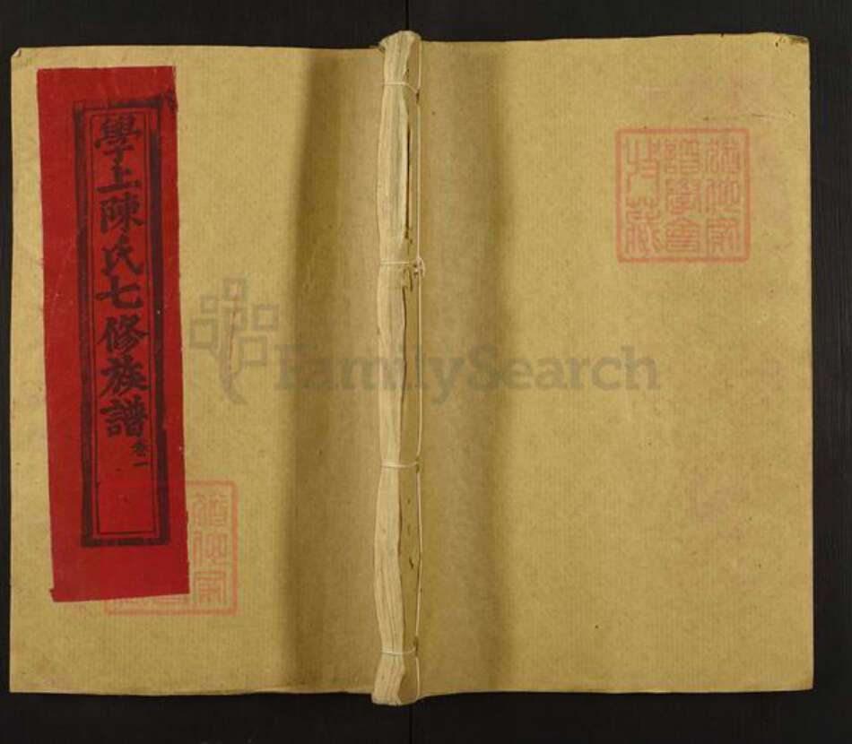 江西省赣州市石城县陈氏族谱-石城学上陈氏七修族谱.pdf电子版缩略图