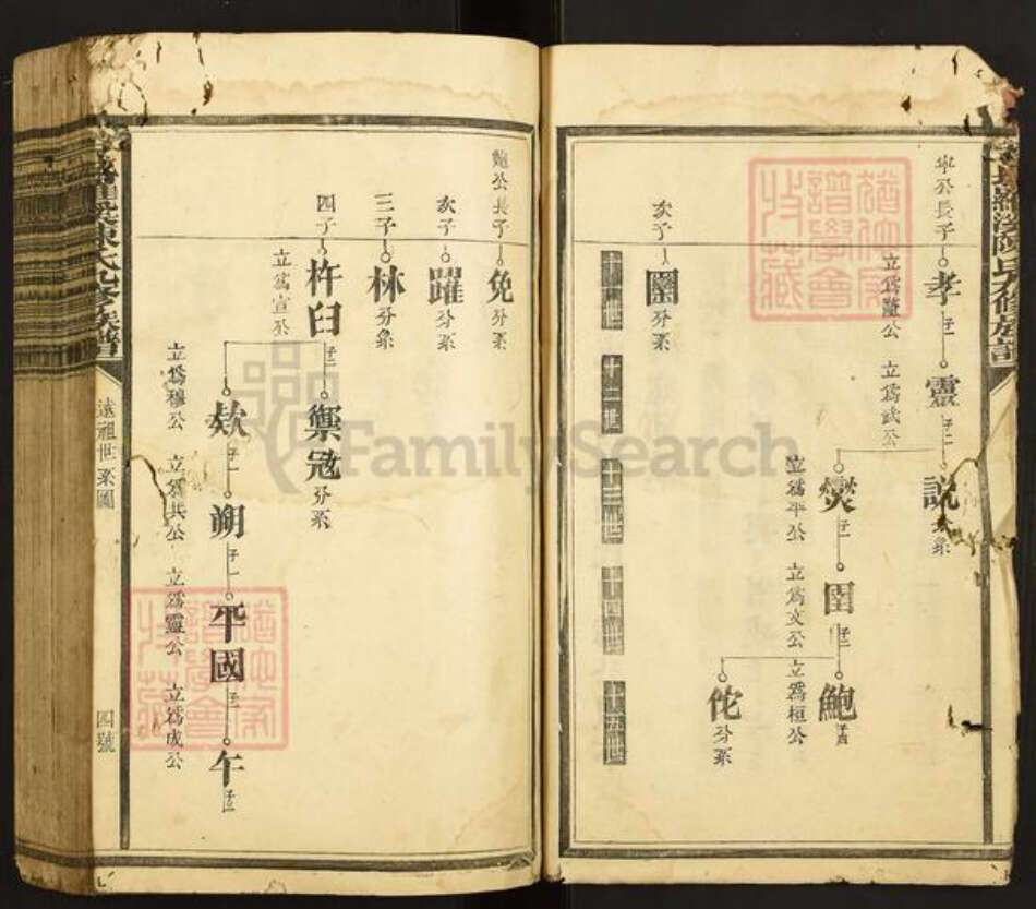 江西省赣州市石城县小松镇陈氏族谱-石城罗溪陈氏九修族谱.pdf电子版预览图4