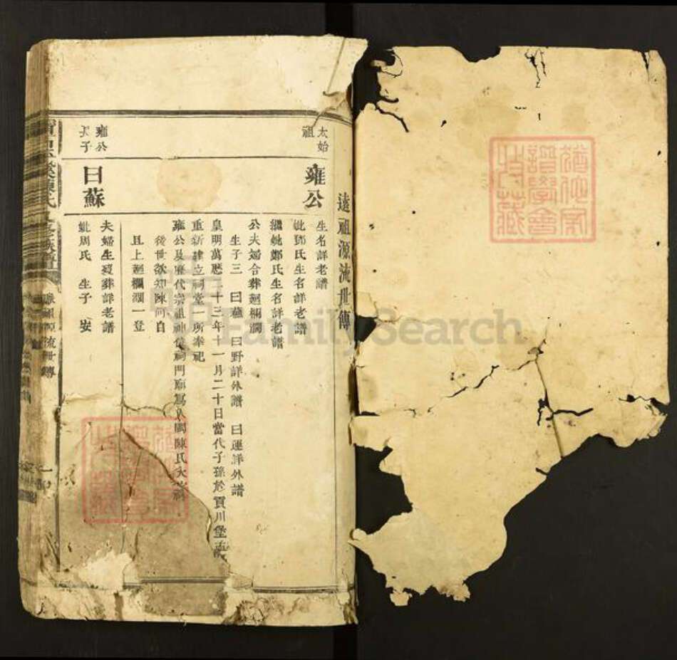 江西省赣州市石城县陈氏族谱-宁石平溪陈氏九修族谱.pdf电子版预览图1