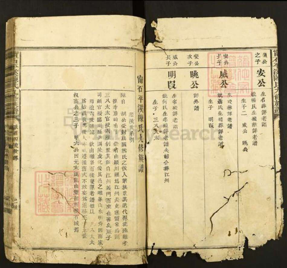 江西省赣州市石城县陈氏族谱-宁石平溪陈氏九修族谱.pdf电子版预览图2
