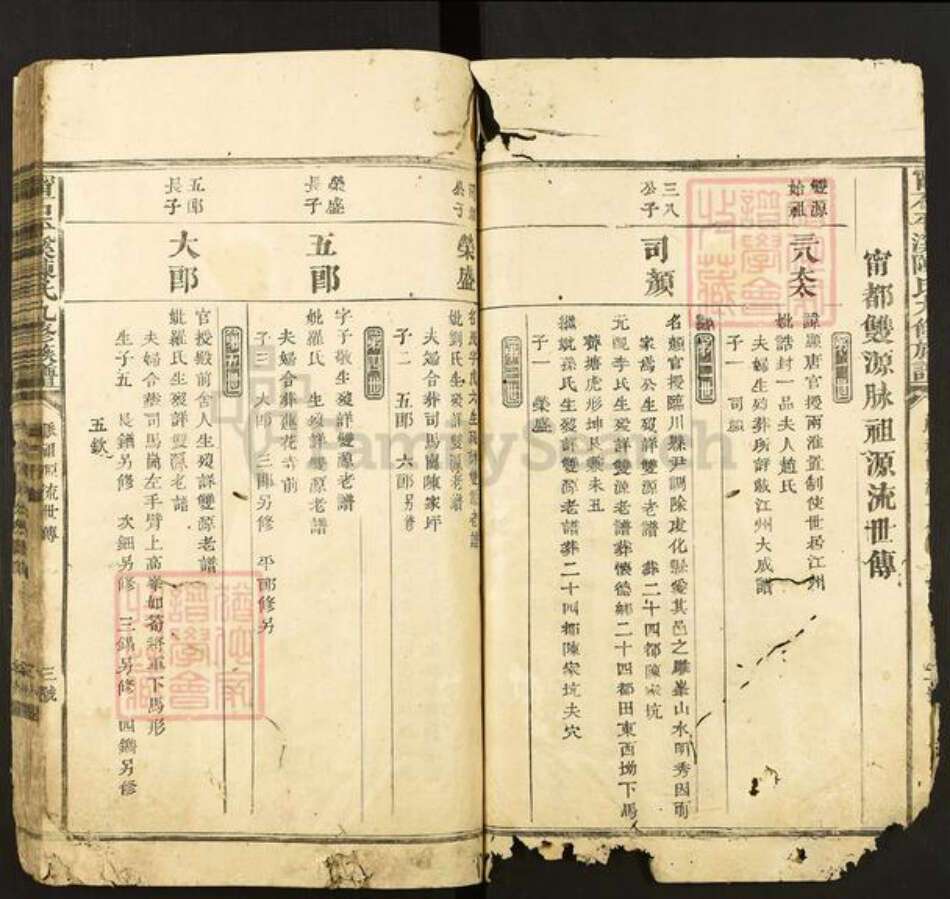 江西省赣州市石城县陈氏族谱-宁石平溪陈氏九修族谱.pdf电子版预览图3