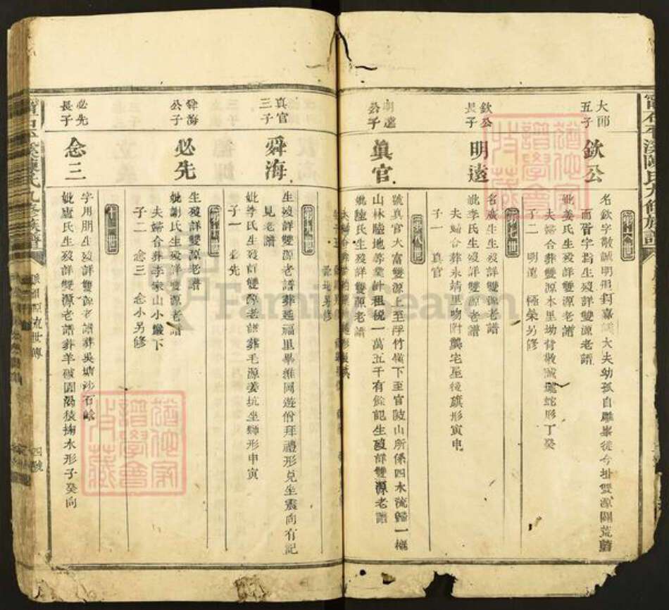 江西省赣州市石城县陈氏族谱-宁石平溪陈氏九修族谱.pdf电子版预览图4