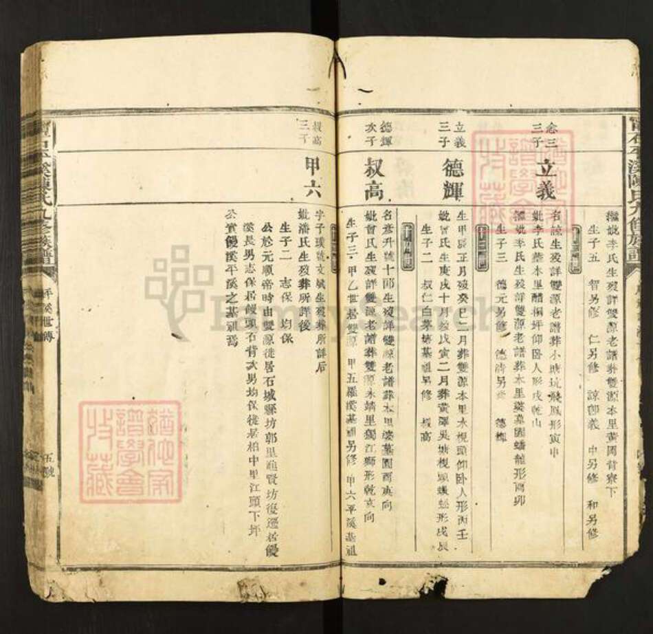 江西省赣州市石城县陈氏族谱-宁石平溪陈氏九修族谱.pdf电子版预览图5