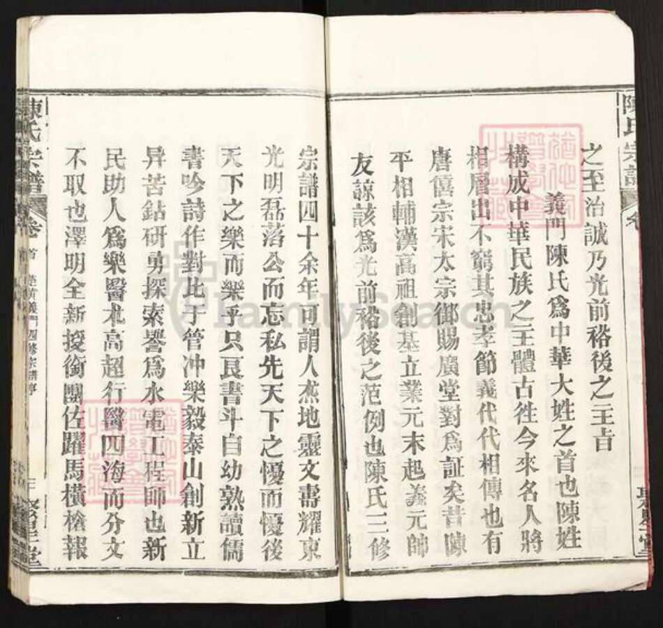 湖北省黄冈市黄州区陈氏聚星堂族谱-陈氏宗谱.pdf电子版预览图3