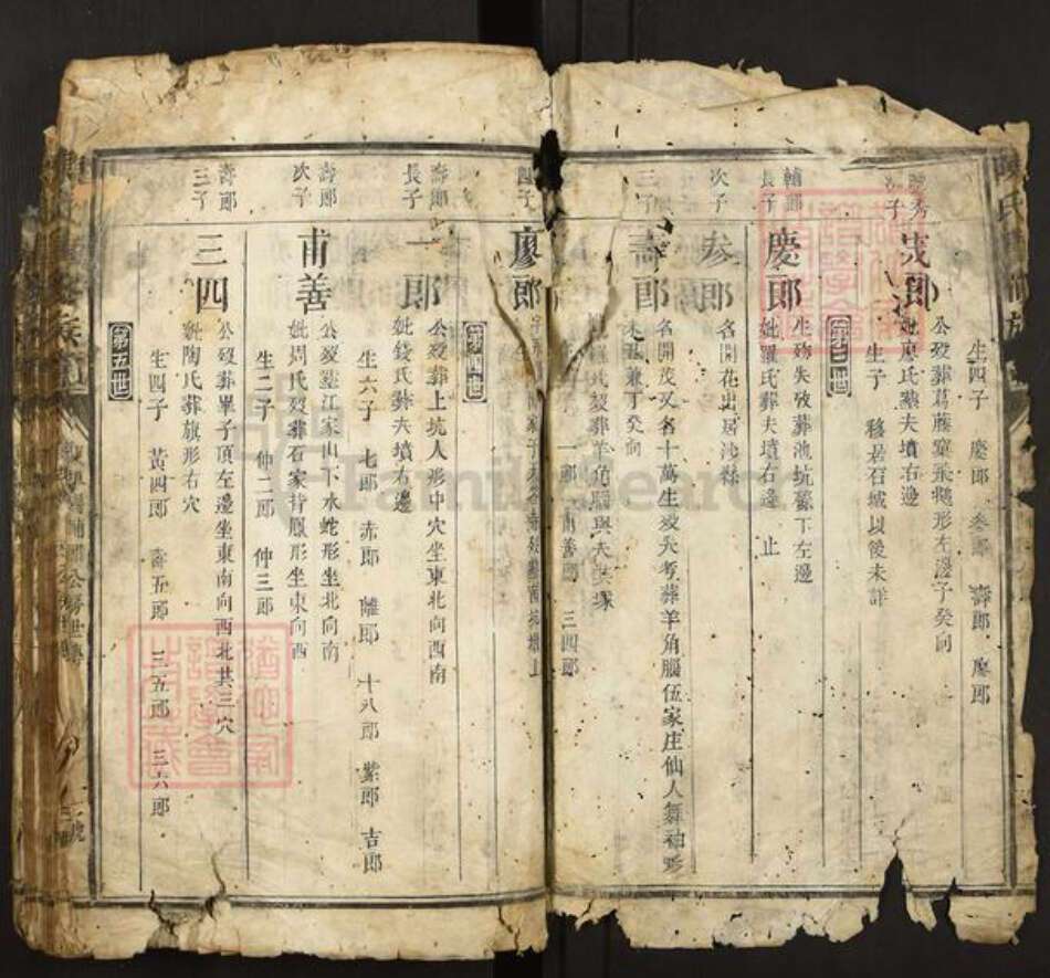 福建省三明市宁化县陈氏族谱-陈氏重修族谱.pdf电子版预览图2