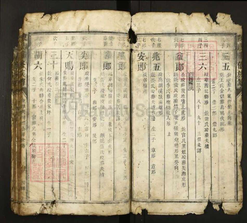 福建省三明市宁化县陈氏族谱-陈氏重修族谱.pdf电子版预览图4