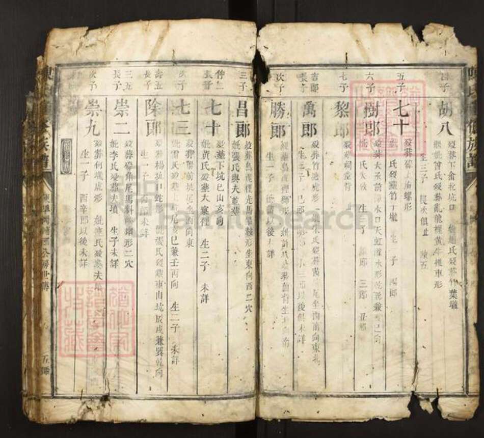 福建省三明市宁化县陈氏族谱-陈氏重修族谱.pdf电子版预览图5