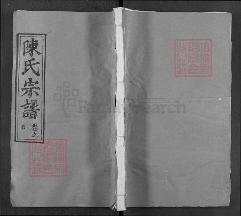 湖北省武汉市新洲区陈氏德星堂族谱-陈氏宗谱.pdf电子版缩略图