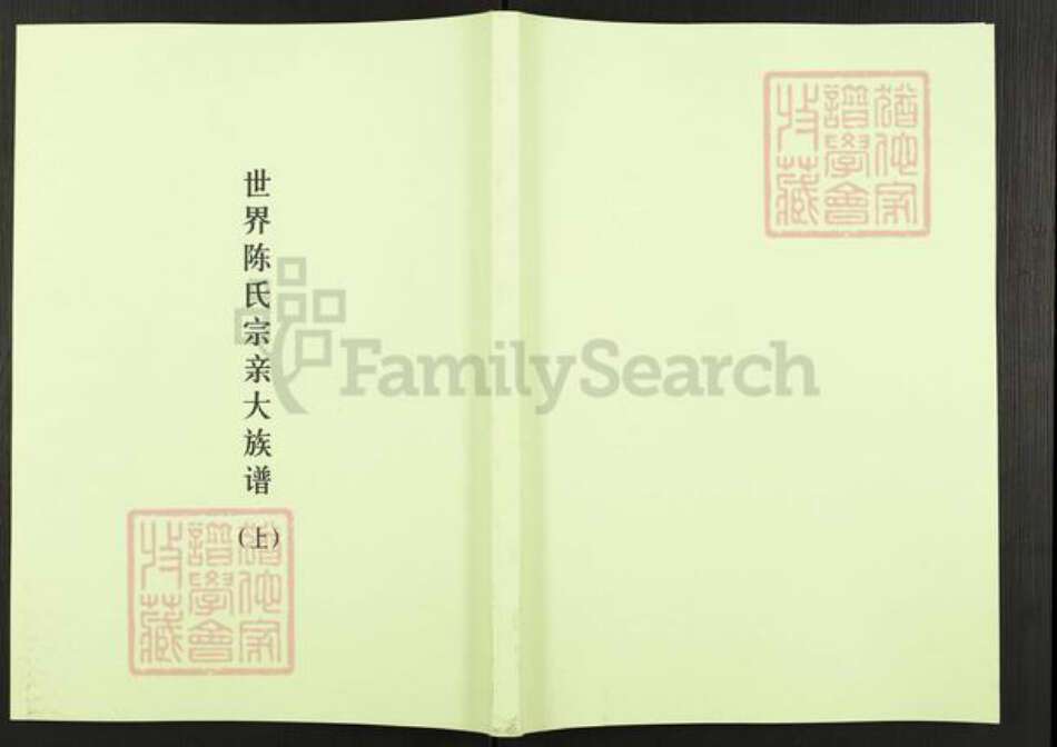 河南省濮阳市华龙区陈氏德星堂族谱-世界陈氏宗亲大族谱.pdf电子版缩略图