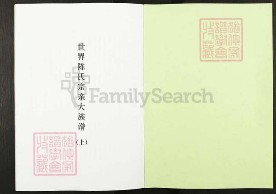 河南省濮阳市华龙区陈氏德星堂族谱-世界陈氏宗亲大族谱.pdf电子版预览图1