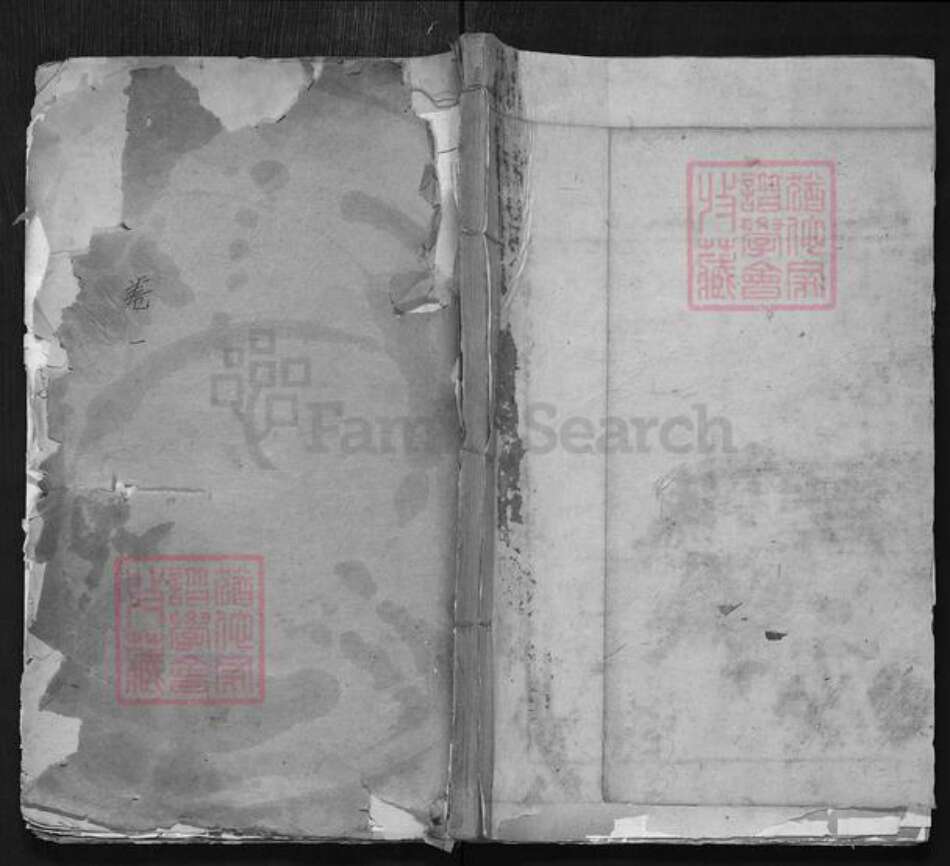 山东省聊城市东阿县陈氏族谱-陈何世谱.pdf电子版缩略图