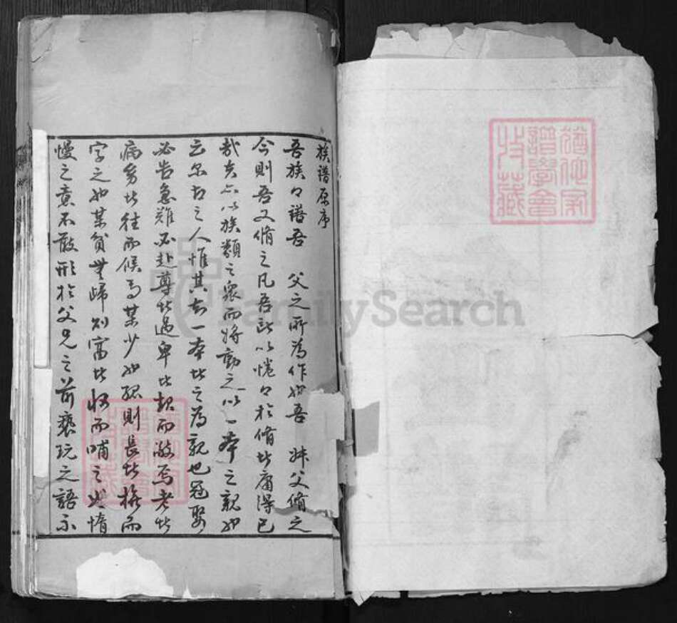 山东省聊城市东阿县陈氏族谱-陈何世谱.pdf电子版预览图1