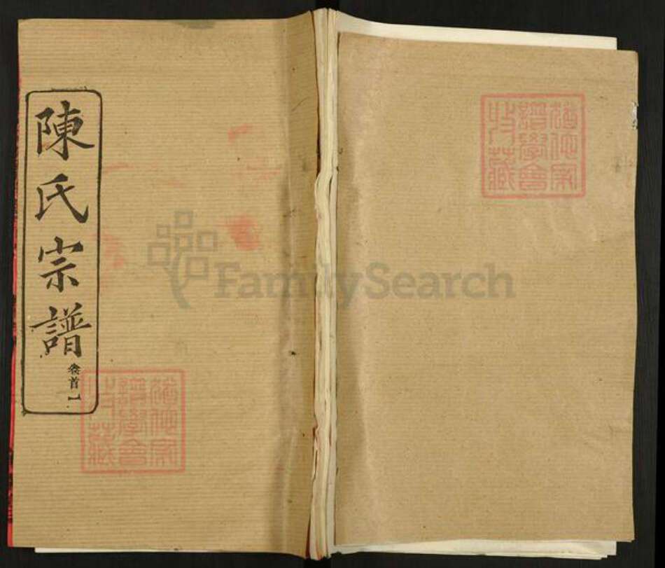 湖北省黄冈市黄州区陈氏真源堂族谱-陈氏宗谱.pdf电子版缩略图