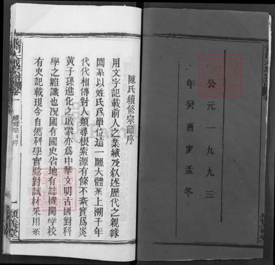 湖北省黄冈市陈氏颕义堂族谱-义门陈氏宗谱.pdf电子版预览图2