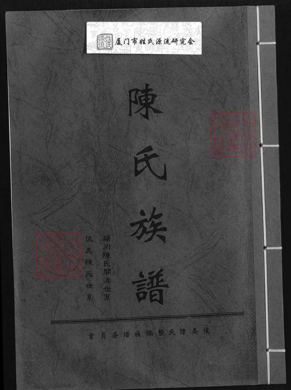 福建省漳州市龙海市东园镇陈氏颍川堂族谱-陈氏族谱.pdf电子版缩略图