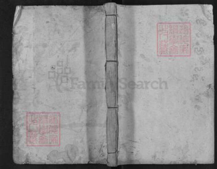 江西省陈氏族谱-赣江上游陈氏首届联修族谱.pdf电子版缩略图