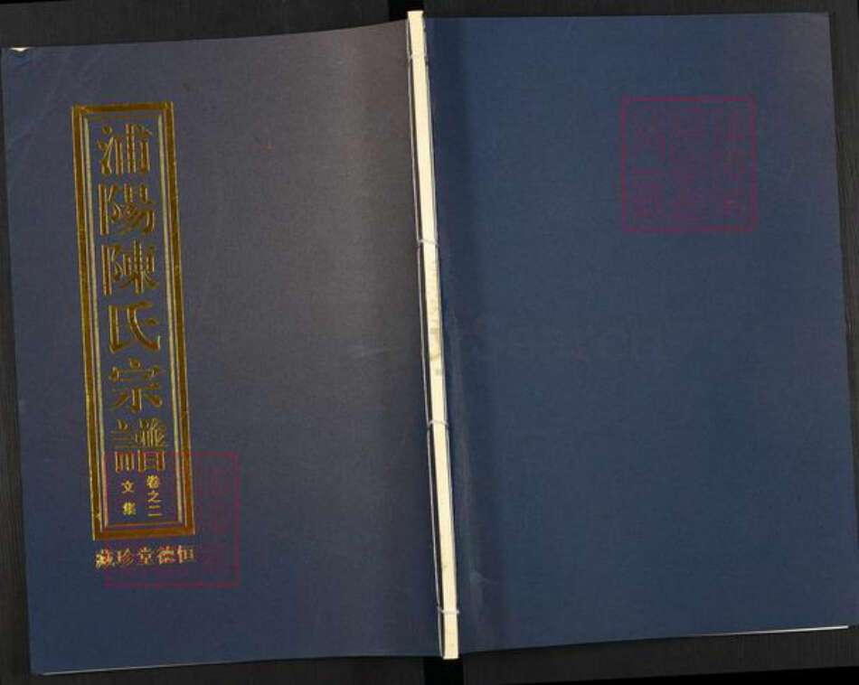 浙江省金华市浦江县陈氏恒德堂族谱-浦阳岩头陈氏宗谱.pdf电子版缩略图