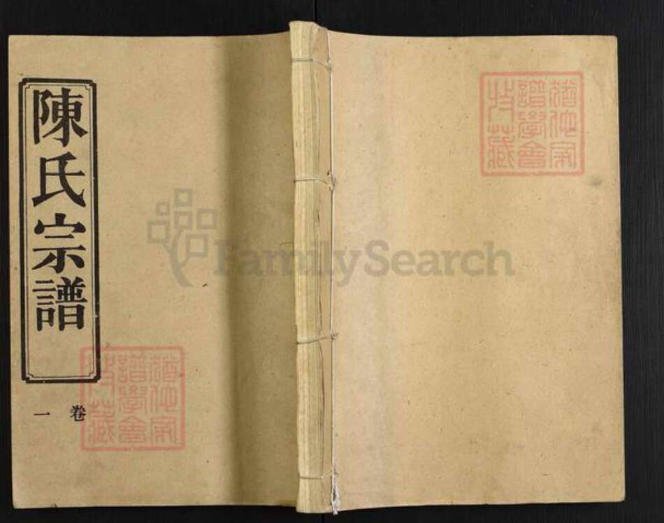 湖北省仙桃市沔城回族镇陈氏义门堂族谱-陈氏宗谱.pdf电子版缩略图