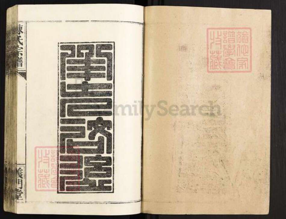 湖北省仙桃市沔城回族镇陈氏义门堂族谱-陈氏宗谱.pdf电子版预览图1