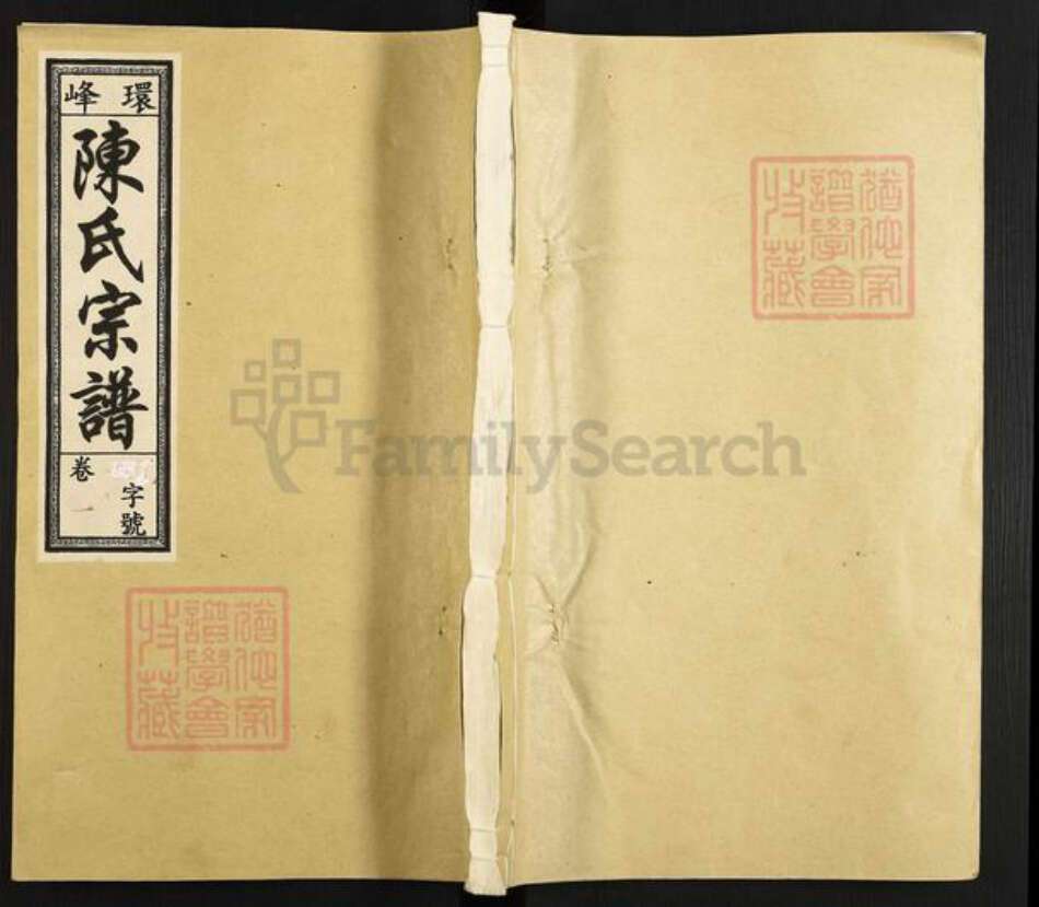 安徽省马鞍山市含山县陈氏义门堂族谱-环峰陈氏宗谱.pdf电子版缩略图