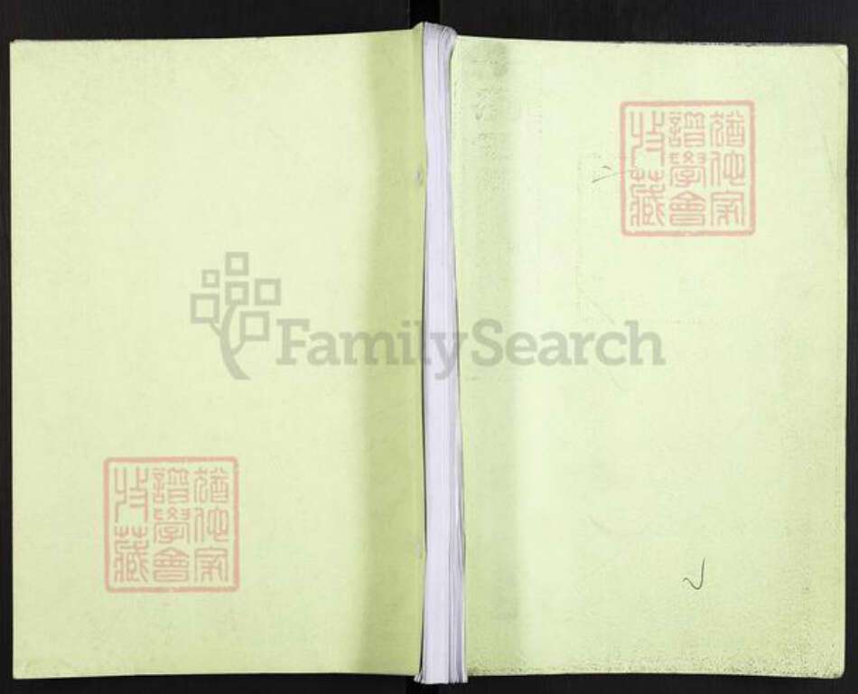 湖南省株洲市醴陵市官庄镇陈氏族谱-浏西陈氏族谱.pdf电子版缩略图