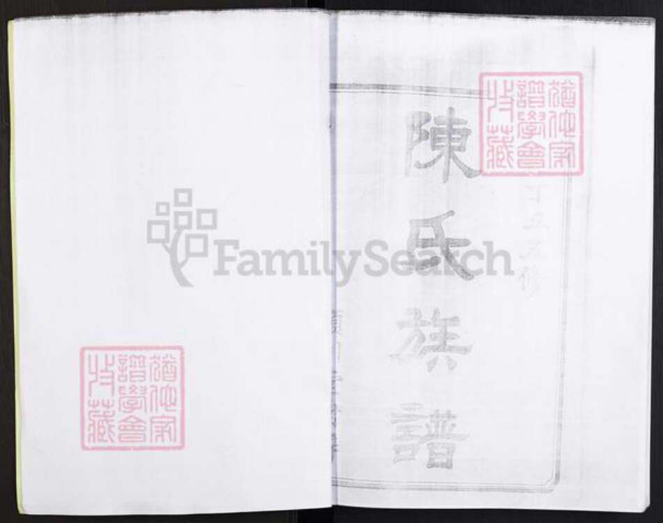 湖南省株洲市醴陵市官庄镇陈氏族谱-浏西陈氏族谱.pdf电子版预览图2