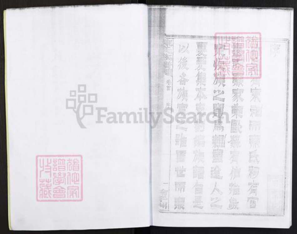 湖南省株洲市醴陵市官庄镇陈氏族谱-浏西陈氏族谱.pdf电子版预览图3