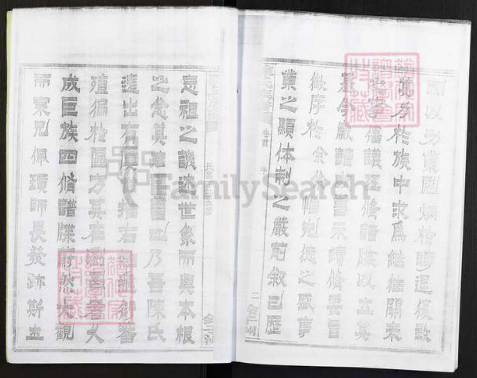 湖南省株洲市醴陵市官庄镇陈氏族谱-浏西陈氏族谱.pdf电子版预览图4