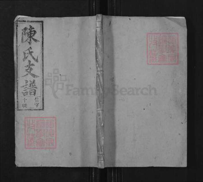 安徽省安庆市宿松县陈汉乡陈氏族谱-陈道浩公支谱.pdf电子版缩略图