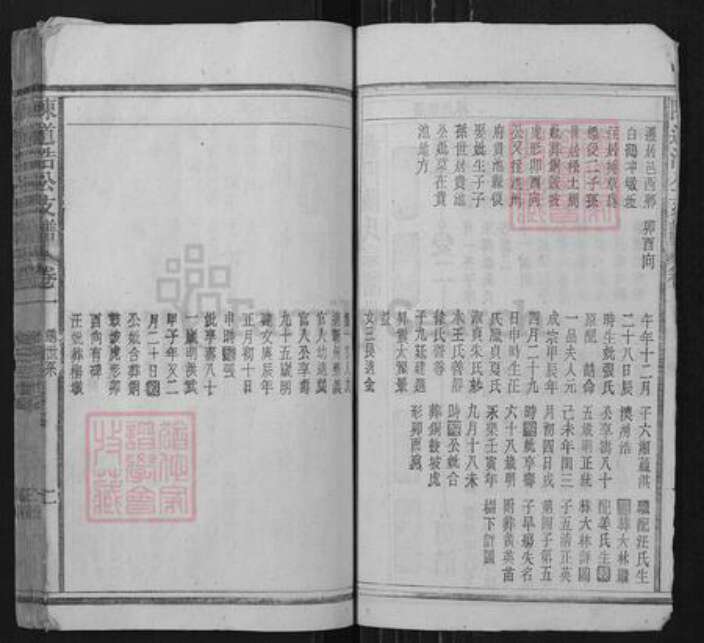 安徽省安庆市宿松县陈汉乡陈氏族谱-陈道浩公支谱.pdf电子版预览图2