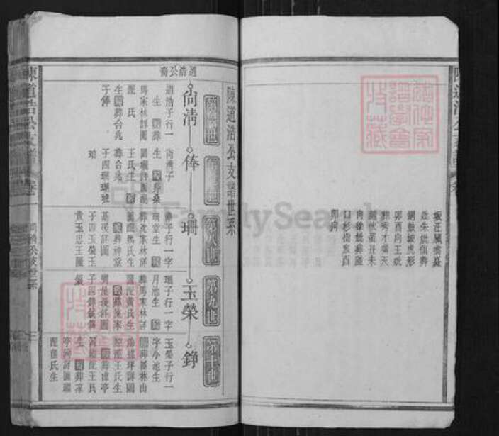 安徽省安庆市宿松县陈汉乡陈氏族谱-陈道浩公支谱.pdf电子版预览图3