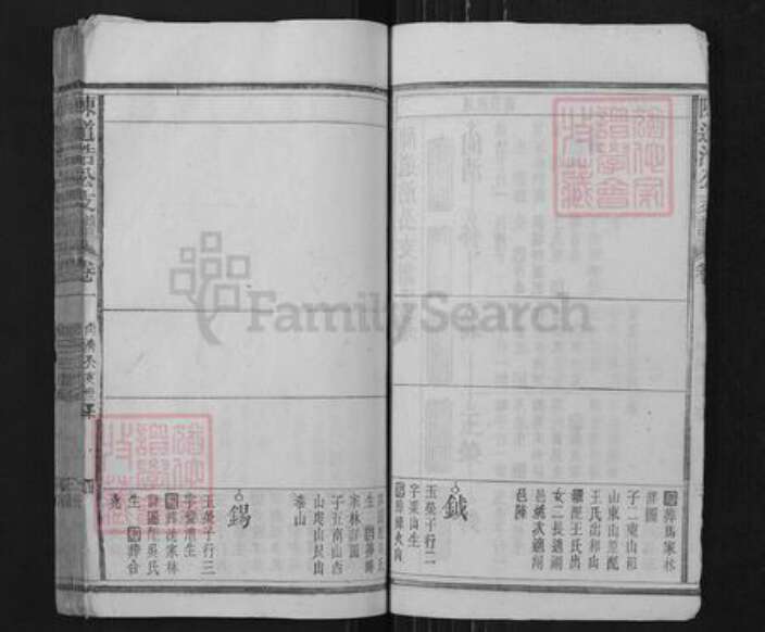 安徽省安庆市宿松县陈汉乡陈氏族谱-陈道浩公支谱.pdf电子版预览图4