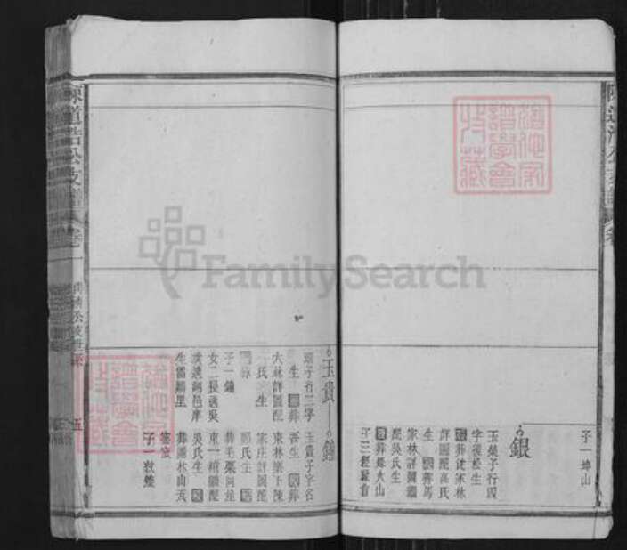 安徽省安庆市宿松县陈汉乡陈氏族谱-陈道浩公支谱.pdf电子版预览图5