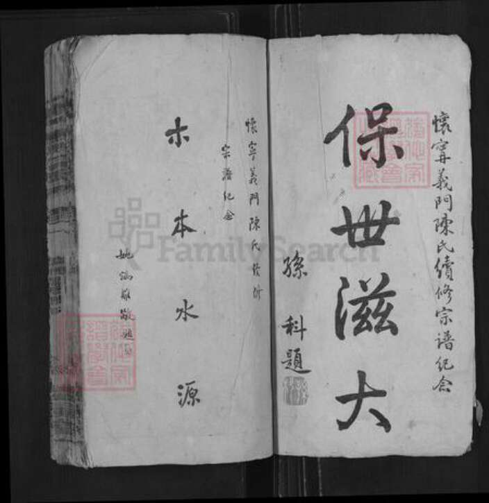 安徽省黄山市休宁县陈氏德星堂族谱-义门陈氏宗谱.pdf电子版预览图2