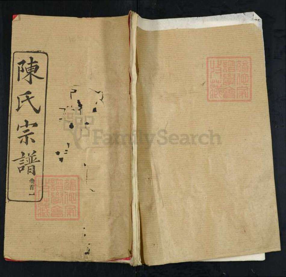 湖北省黄冈市黄州区堵城镇陈氏真源堂族谱-陈氏宗谱.pdf电子版缩略图