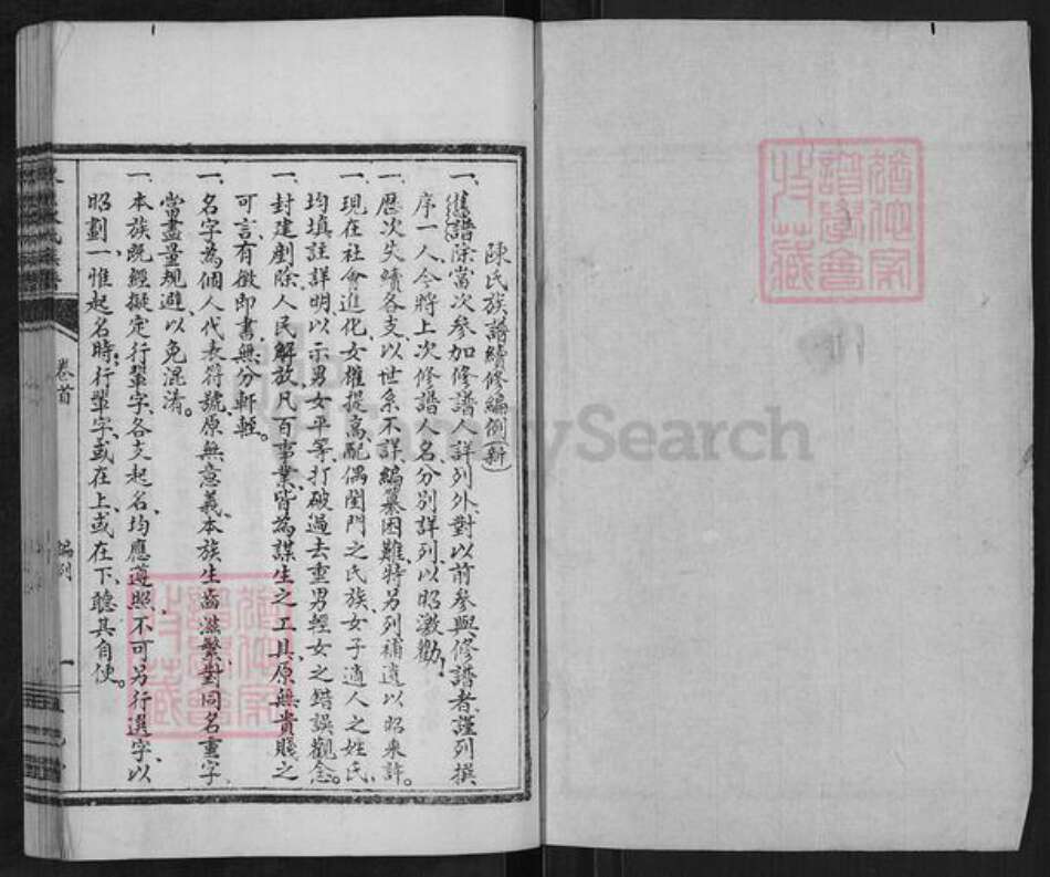 山东省泰安市东平县陈氏正己堂族谱-东原陈氏族谱.pdf电子版预览图1