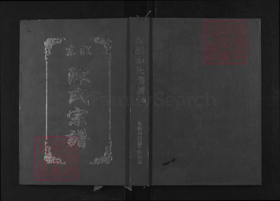 浙江省金华市永康市东城街道陈氏族谱-东陇陈氏宗谱.pdf电子版缩略图