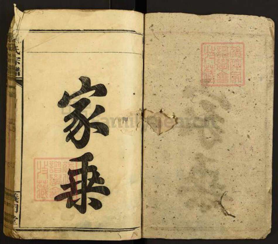 江西省九江市濂溪区莲花镇陈氏义门堂族谱-陈氏宗谱.pdf电子版预览图2