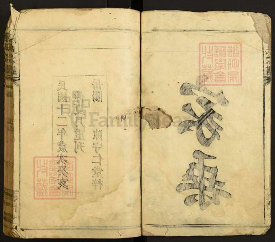 江西省九江市濂溪区莲花镇陈氏义门堂族谱-陈氏宗谱.pdf电子版预览图3