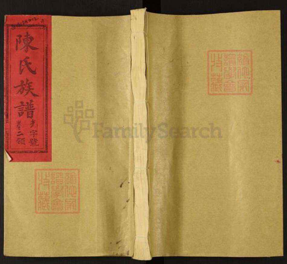 福建省三明市宁化县陈氏族谱-壬申颖川陈氏家谱.pdf电子版缩略图